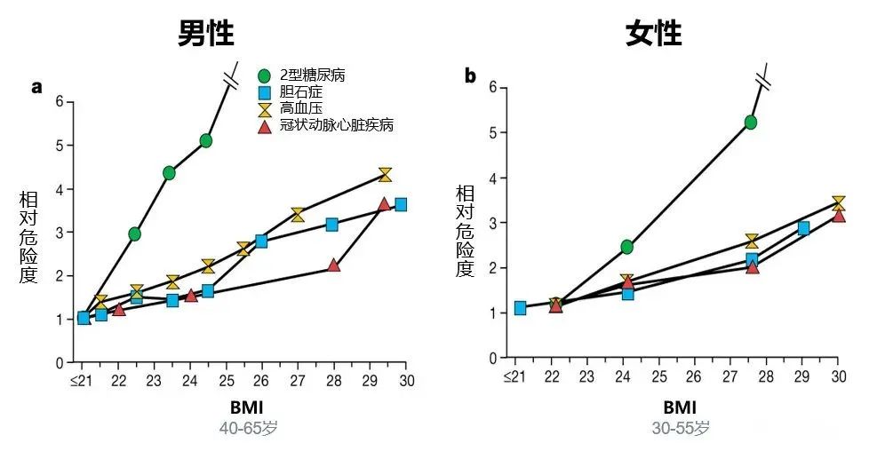 投保体重过低？投保体重超重怎么办？BMI不达标也可以投保！插图2