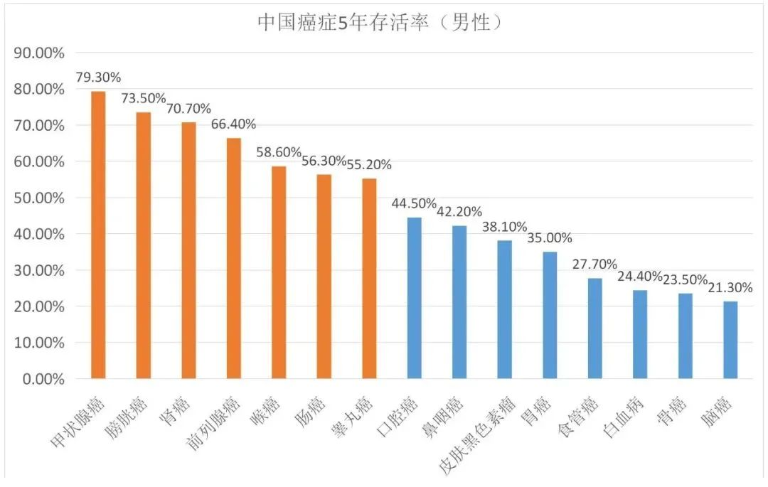 每年送一次体检，终身免费！保险又有了新玩法~插图26