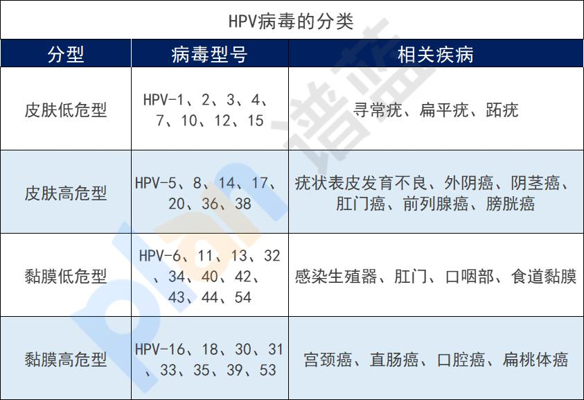 九价HPV疫苗扩龄到9-45岁，一定要打吗？打了有什么用？插图4
