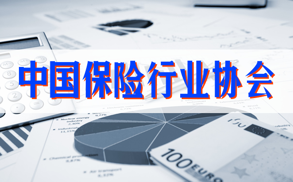中国保险业协会插图