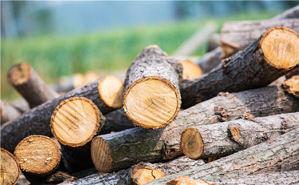 木材水解工是什么？公司如何购买雇主责任保险？插图