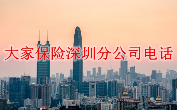 大家保险深圳分公司电话插图