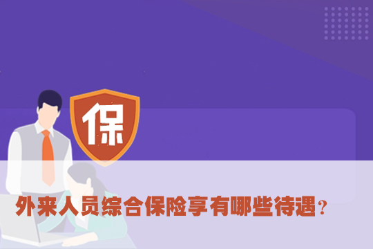 外来人员综合保险插图1