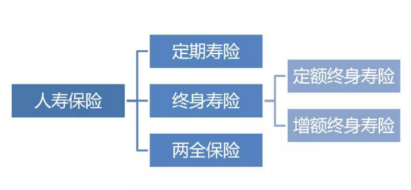 增额性终身寿险最大百分几？每年都会持续上涨吗？插图