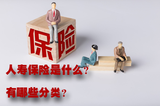 什么是人寿保险？如何购买人寿保险？推荐什么人寿保险？插图