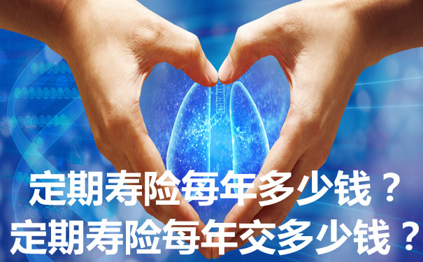 定期寿险一年多少钱？插图