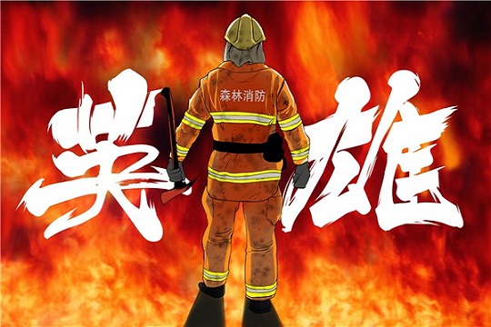 西昌森林火灾19英雄人保财产保险赔偿720万，保险业迅速应对插图4