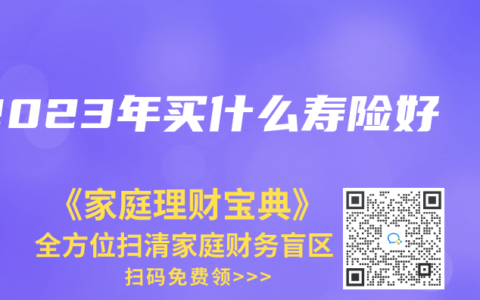 2023年买什么寿险好