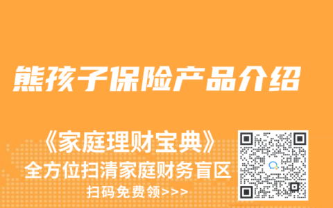 熊孩子保险产品介绍